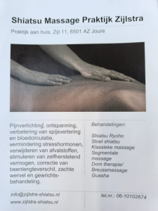 Midsimmerdei fair Scharsterbrug PraktijkFetje KruidenMaRein-zonnewende-midzomer-edelstenen-etherisch-olie-yin-yoga-meditatie-stoelshiatsu-handpan-orgonites-stemvork-klankschaal-voetreflex-tarot-geboorte-spagyriek-quantum-allergy-auraspray-kruiden-thee