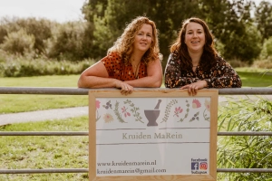 Midsimmerdei fair Scharsterbrug PraktijkFetje KruidenMaRein-zonnewende-midzomer-edelstenen-etherisch-olie-yin-yoga-meditatie-stoelshiatsu-handpan-orgonites-stemvork-klankschaal-voetreflex-tarot-geboorte-spagyriek-quantum-allergy-auraspray-kruiden-thee